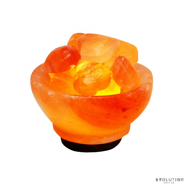 Evolution Himalayan Crystal Salt Lamps - Abundance Bowl Hearts 8