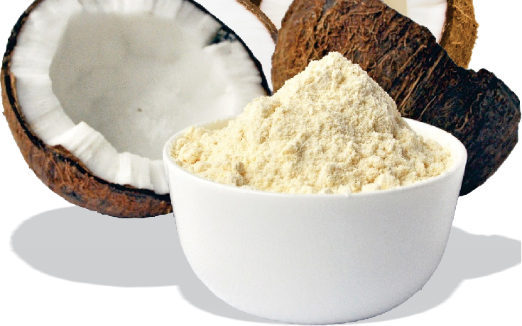 Surya Organic Condiments & Spices Coconut Flour