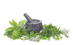 Mortar Pestle Herbs